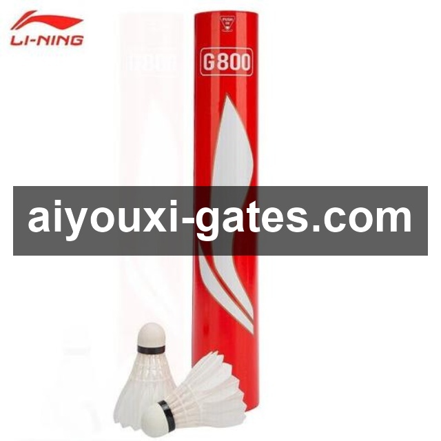 Aiyouxi Sports平台展示图